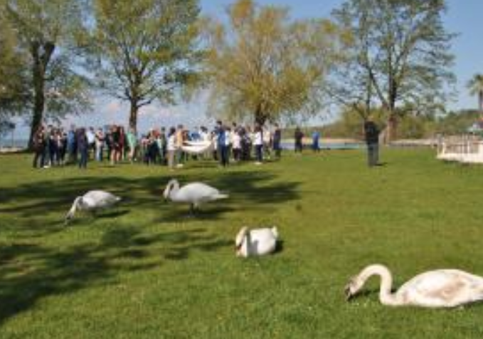40-Jahre-montet